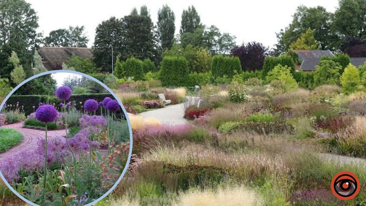 У Києві облаштують газони без скошування: у кожному районі введуть експериментальну практику ландшафтного дизайну