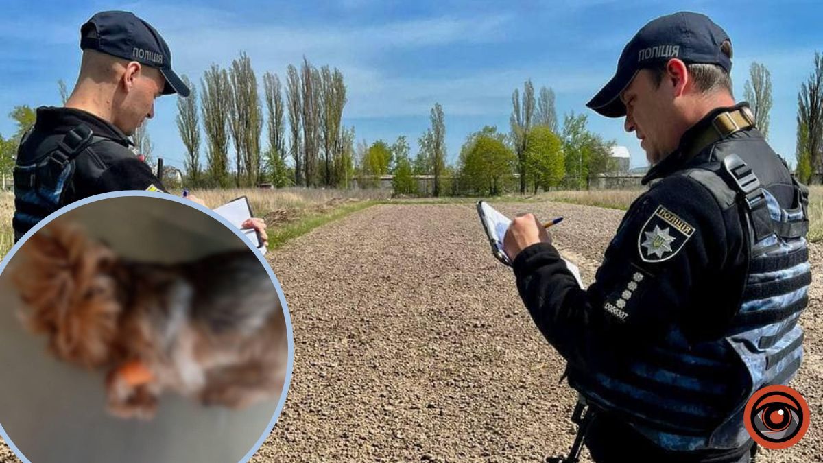 На Київщині чоловік вбив йоркширського тер‘єра сусідки