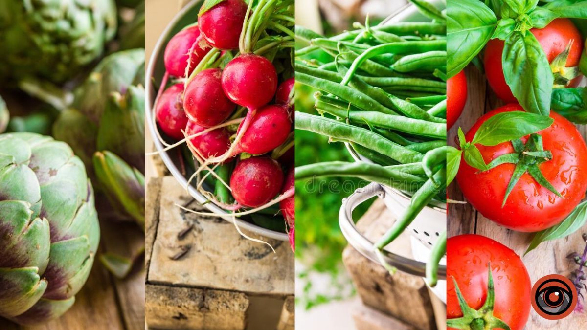 Де у Києві купити артишок, редис, горох та ревінь: адреси продуктових ярмарків