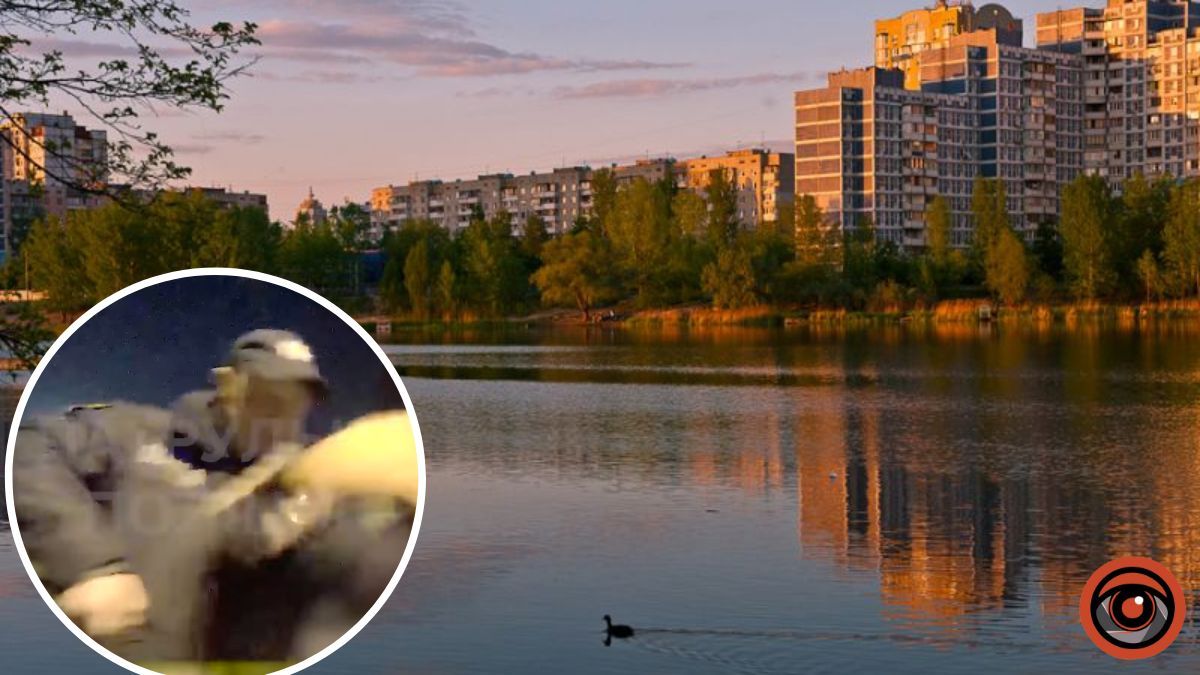 У Києві чоловік впав в озеро та не міг вибратися