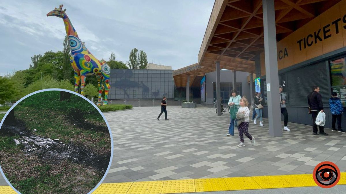 Уламки збитої ракети впали на територію Київського зоопарку: що там зараз відбувається