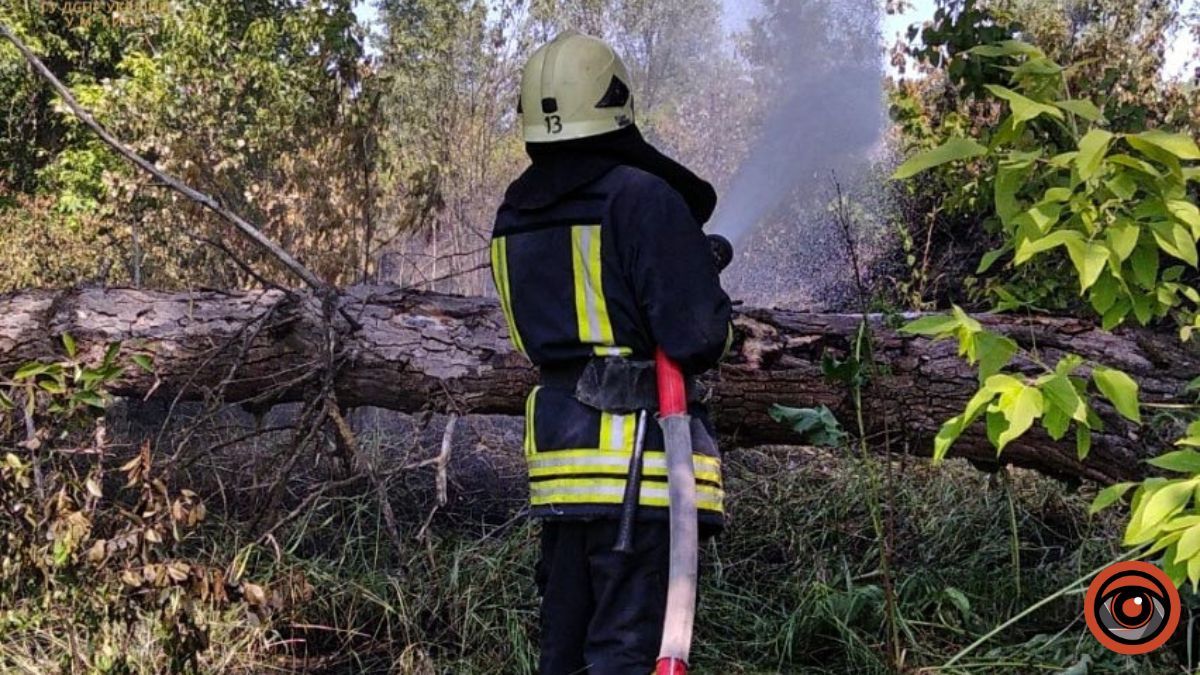 У Києві масштабна пожежа в Деснянському районі: горів гектар травяного настилу