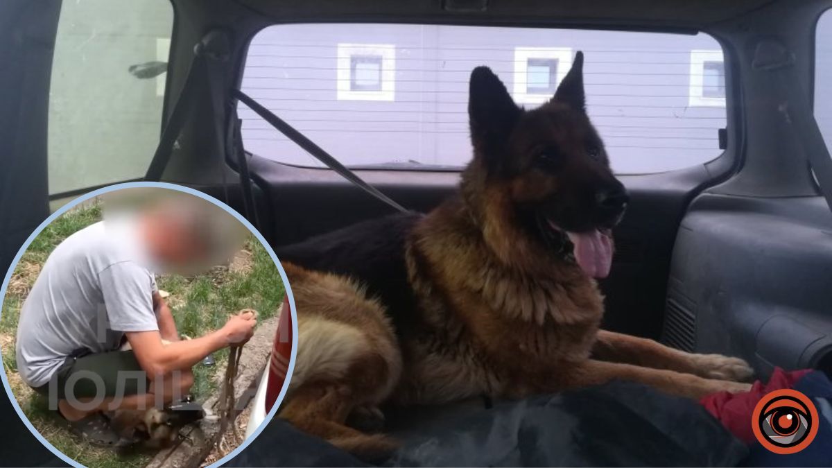 У Києві чоловік лишив собаку в зачиненій автівці під час спеки