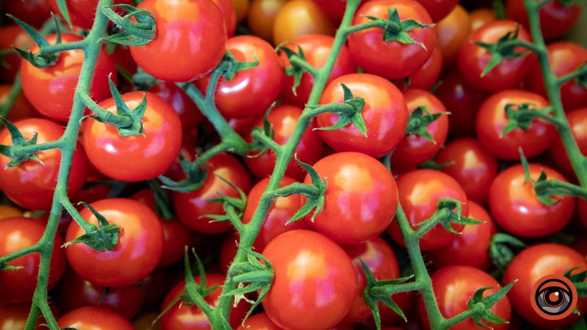 Де у Києві купити солодкі чері, свіжі огірки та хрустку молоду капусту: адреси