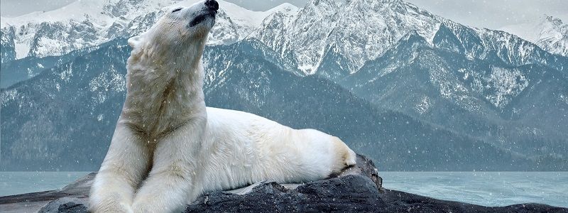 27 февраля: какой сегодня праздник