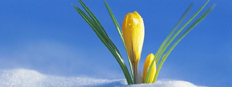 В Киев идет долгожданное тепло