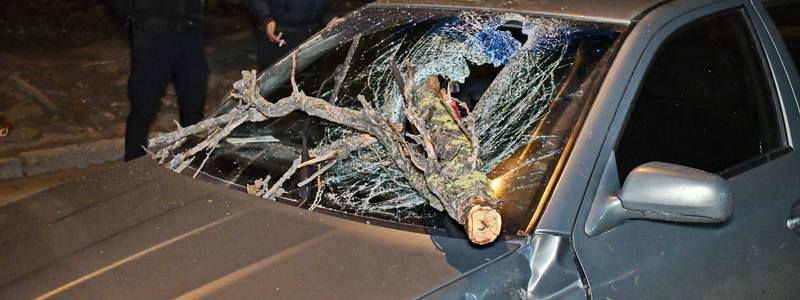 В Киеве ветка упала на Skoda с ребенком внутри