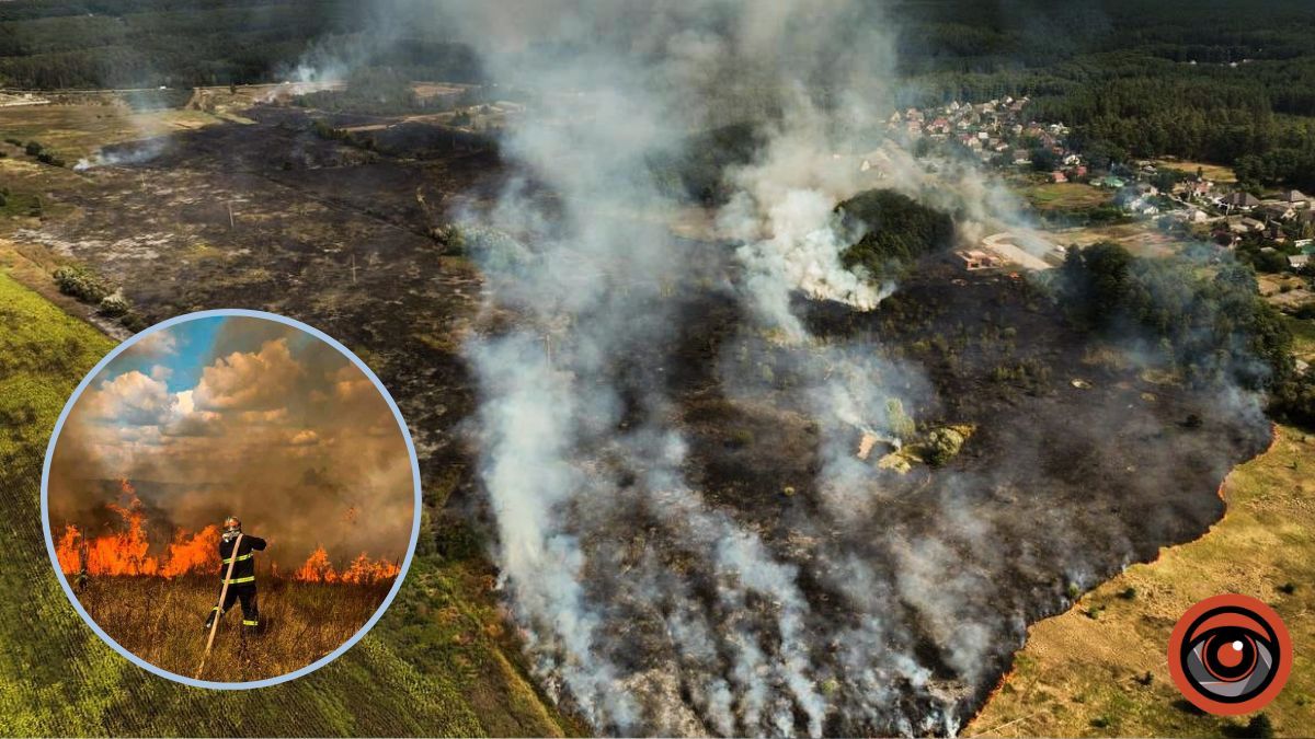 На Київщині масштабні пожежі в екосистемах: де згоріло 5 гектарів настилу