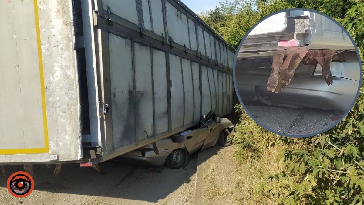 На Київщині фура з тваринами перекинулась на легковик: в ВАЗі роздавило людину