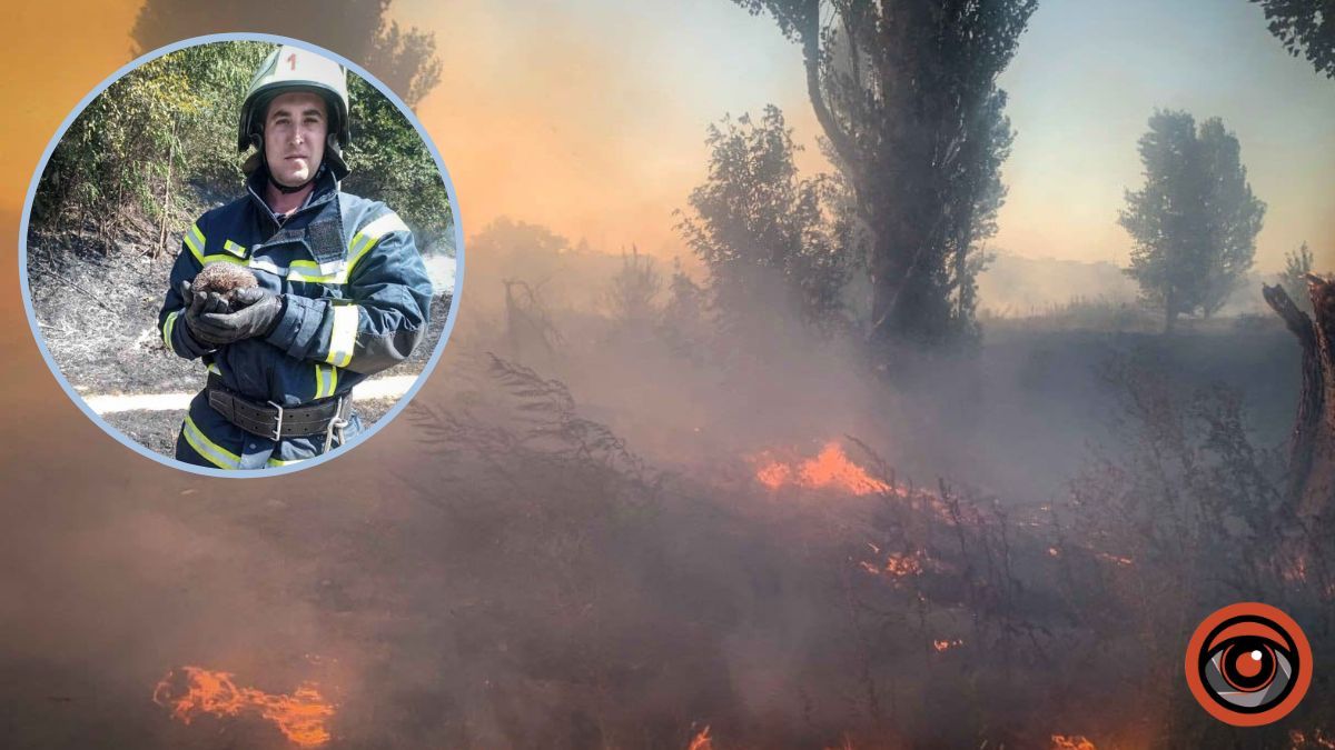 На Київщині за вихідні сталось 80 пожеж в екосистемах: у вогні гинуть тваринки