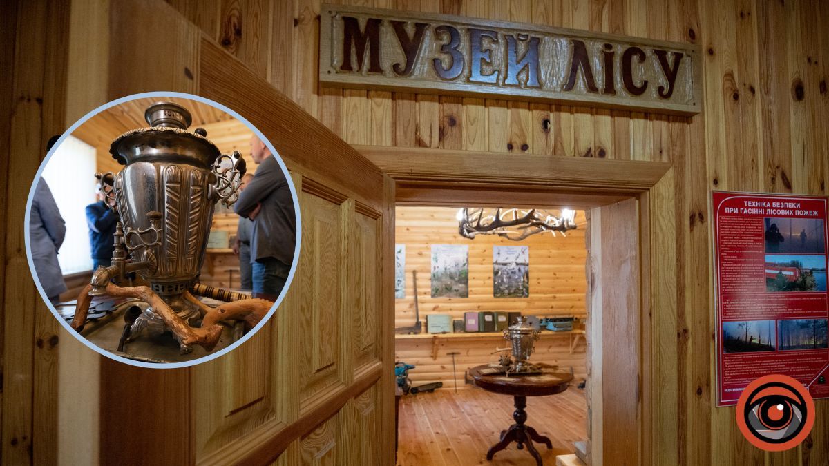У Києві в найстарішому лісництві відкрили Музей лісу: де і як працює