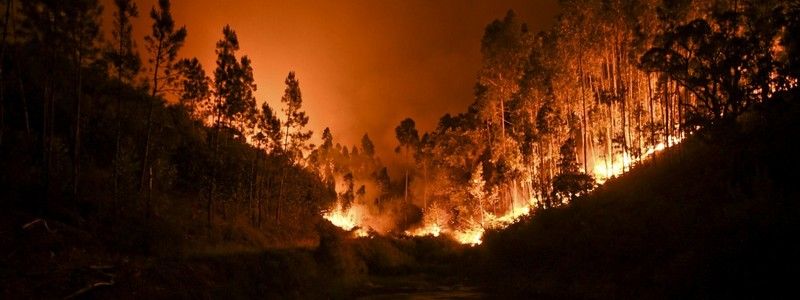 В Киеве объявили высокий уровень пожароопасности