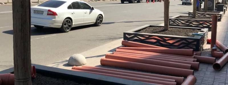 На Крещатике начали «кормить» экспериментальные деревья