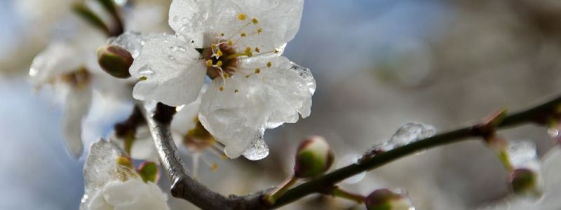 В Украину возвращаются морозы