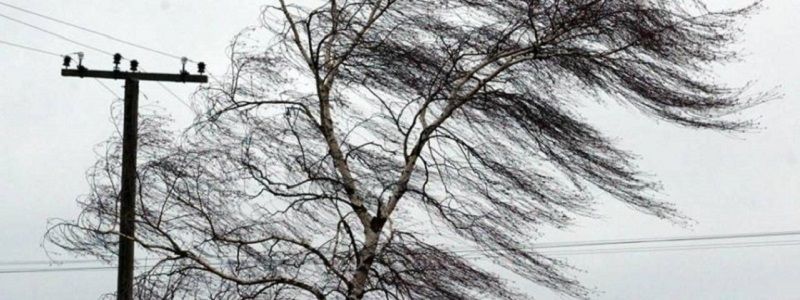 Погода на 19 апреля: в Киеве будет прохладно и ветрено