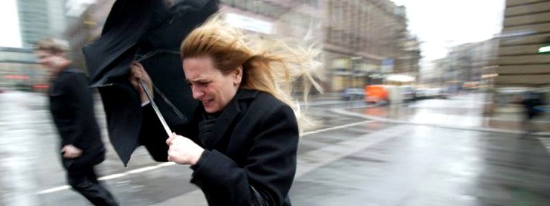 В Киеве бушует сильный ветер