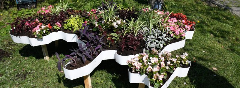 В Киеве 60 человек вычистили Печерский ландшафтный парк