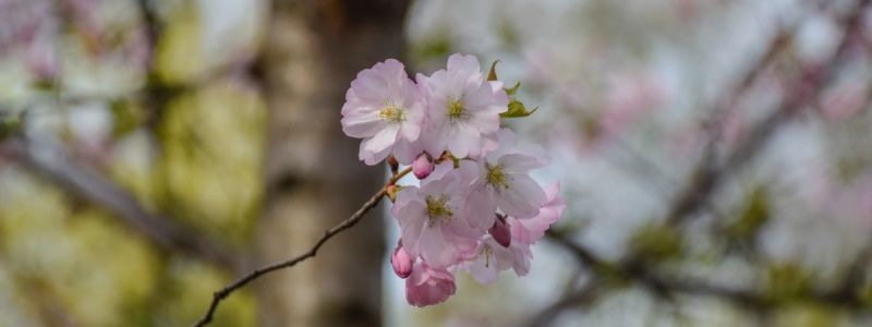 Какой будет погода на майские праздники в Украине