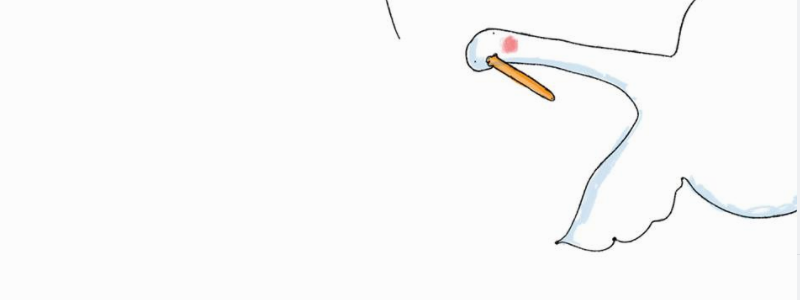 Гуси напомнили о правиле в метрополитене Киева