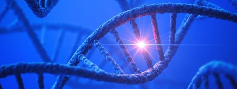 25 апреля: какой сегодня праздник