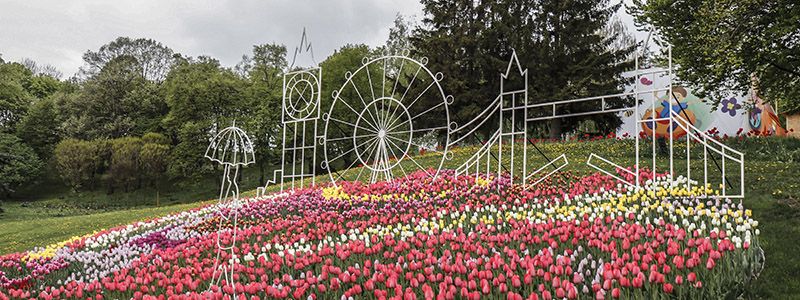 На Певческом поле тюльпаны отправят жителей Киева в Нью-Йорк и Венецию