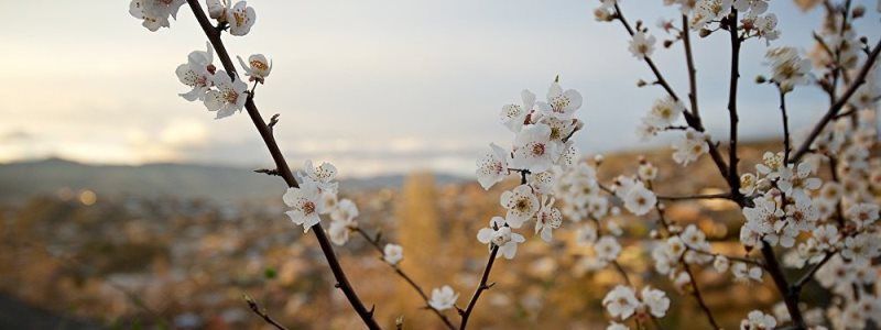 Погода на 28 апреля: в Киеве будет переменная облачность