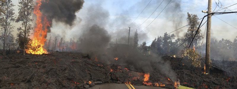 Жираф-убийца, вирус в WhatsApp и разрушительное извержение вулкана: ТОП новостей дня