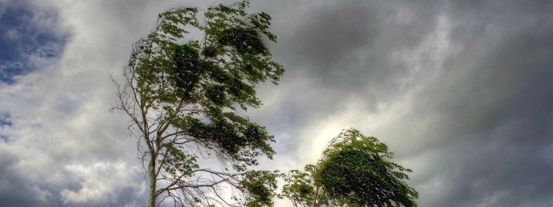 В Киеве объявили штормовое предупреждение