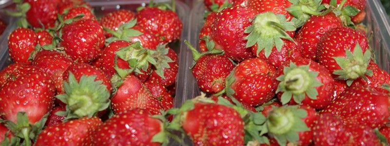 Где в Киеве купить сладкую клубнику
