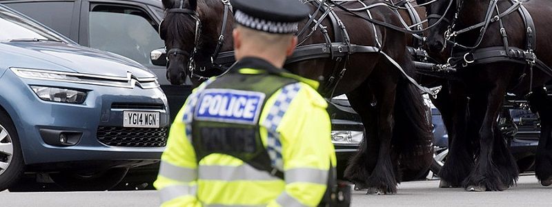 Крушение самолета, нападение на полицейских с ножом и сбежавшие из зоопарка хищники: ТОП новостей дня