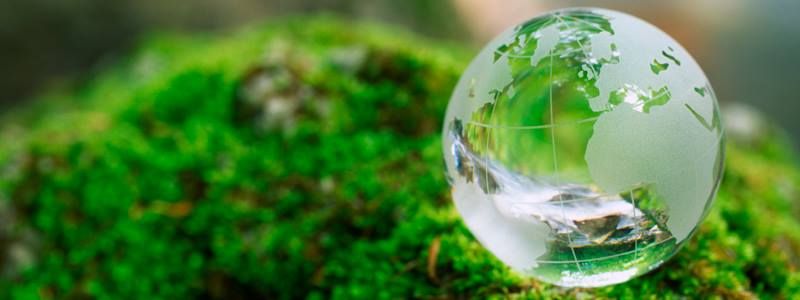 5 июня: какой сегодня праздник