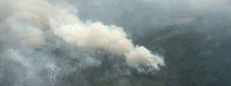 Пожар в лесу Чернобыля: на месте возгорания нашли факелы