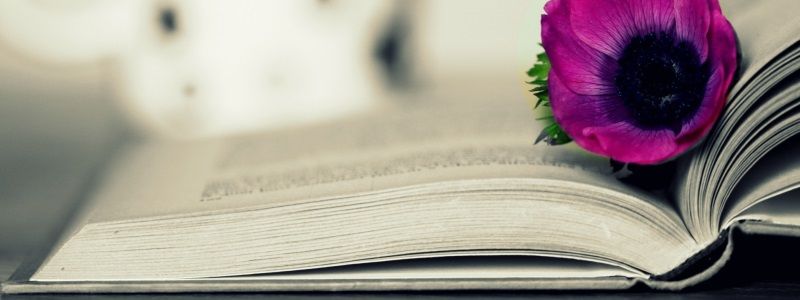 У Києві обрали найкрасивішу книжку