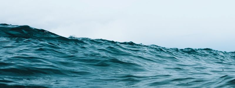 8 июня: какой сегодня праздник