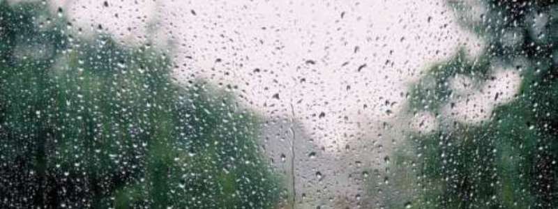 Погода на 13 июня: в Киеве будут дожди