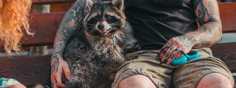 Киев в лицах: как жители столицы отдыхали после ЛГБТ-парада