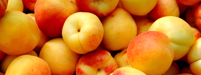 В Киеве пройдут продуктовые ярмарки: узнай, где купить вкусные абрикосы и дыню