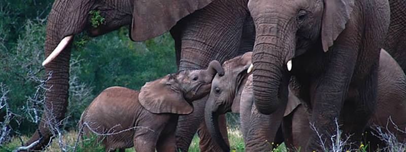 20 июня: какой сегодня праздник