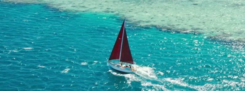 Кинопремьеры недели: что интересного посмотреть в Киеве