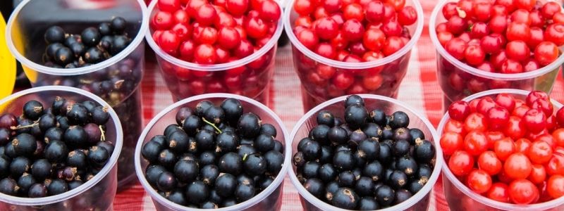 В Киеве пройдут продуктовые ярмарки: узнай, где купить свежую смородину и голубику