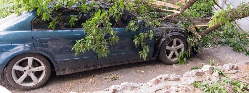 Киев накроют сильные ветра: как правильно парковать авто и куда бежать при непогоде