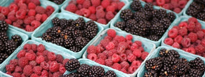 В Киеве пройдут продуктовые ярмарки: узнай, где купить свежую малину и ежевику