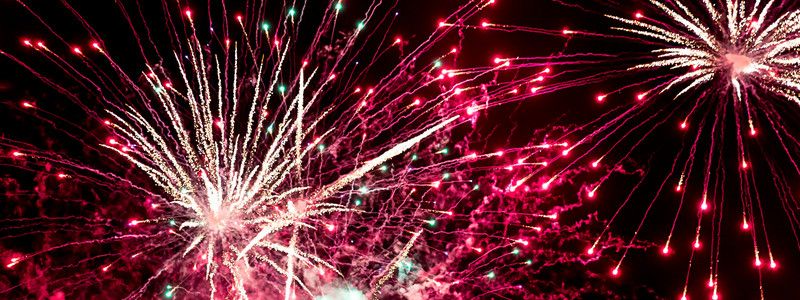 Взрыв на фабрике фейерверков, запертые в зале депутаты и кот-почтальон: ТОП новостей дня