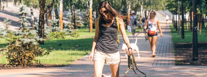 Как выглядит новый парк «Наталка» в Киеве, который решили реконструировать за 79 миллионов