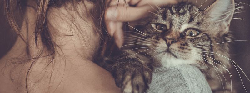 Подарите любовь: какие животные ищут дом в Киеве