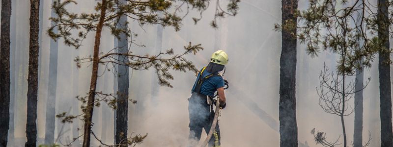 В Киеве объявили высокий уровень пожароопасности: что делать, если вас объял огонь