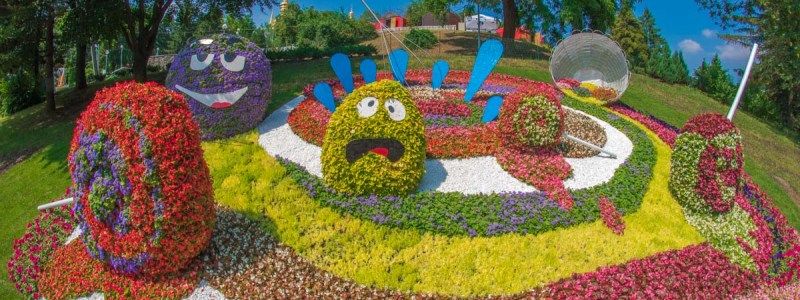 В Киеве выставка цветов "Мир Великанов" на Певческом поле продлила свою работу: успей сделать яркое селфи