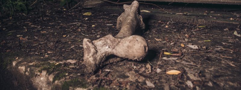 Заброшенный Киев: как ночью выглядят самые мрачные места столицы