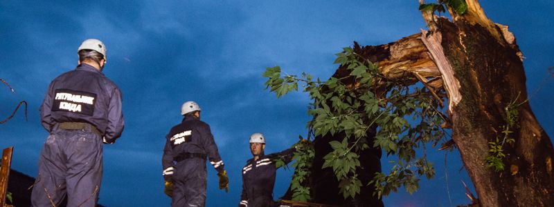 В Киеве на Куреневке дерево рухнуло на шиномотаж, в котором работали люди