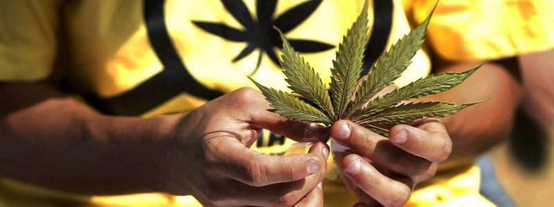 "Легалайз" в Грузии, атака кенгуру в Австралии, и переименование Македонии: ТОП новостей дня